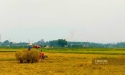 Đền bù không thỏa đáng, người dân có được từ chối giao đất?