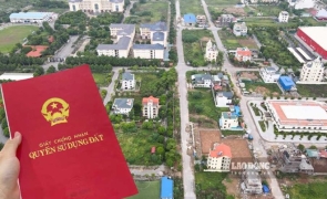 Người dân được nhận chuyển nhượng đất lúa theo Luật Đất đai 2024